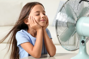 Вентиляторы:идеальное решение в жаркую погоду