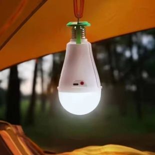 Лампочка кемпинговая со съемным аккумулятором 18650 20Вт Type-C LED Emergency Bulb BL801 Белая