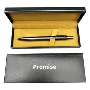 Ручка шариковая металлическая в подарочном футляре Promise 005G Серебристо-черная
