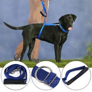 Повідець для великих собак (30кг+) The Instant Trainer Leash Синій