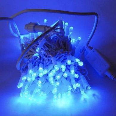 Гірлянда вулична 10м tring-Lights 100-B Білий провід, синє світло