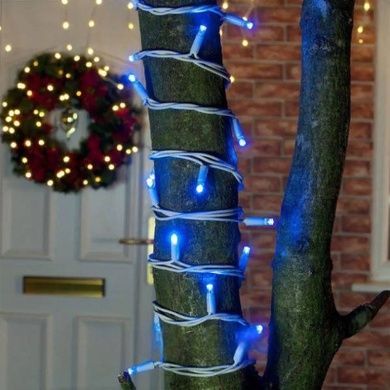 Гірлянда вулична 10м tring-Lights 100-B Білий провід, синє світло