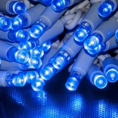 Гірлянда вулична 10м tring-Lights 100-B Білий провід, синє світло