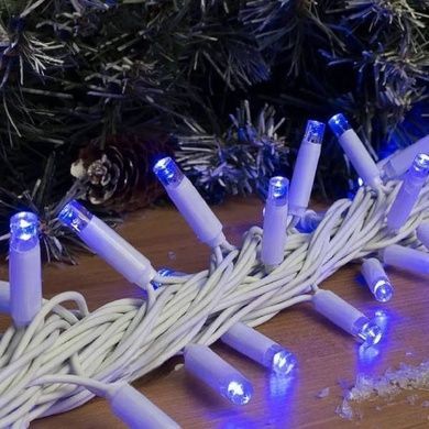 Гірлянда вулична 10м tring-Lights 100-B Білий провід, синє світло