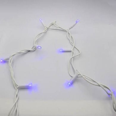 Гірлянда вулична 10м tring-Lights 100-B Білий провід, синє світло