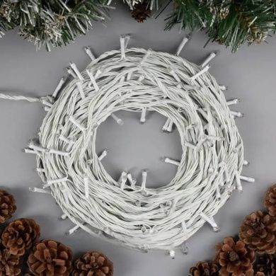 Гірлянда вулична 10м tring-Lights 100-B Білий провід, синє світло