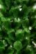 Штучна сосна 1,8 м пухнаста світло-зелена Мікс