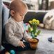 Танцующий поющий кактус в одежде с подсветкой и функцией повторения