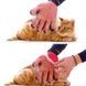 Перчатка для вычесывания шерсти с домашних животных PET GLOVES True Touch Красная