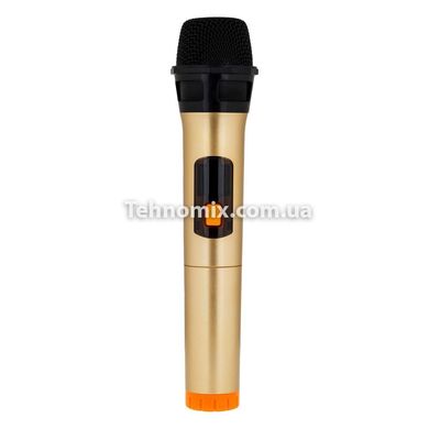 Колонка Bluetooth HOPESTAR A20 PRO + мікрофон Помаранчева