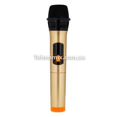 Колонка Bluetooth HOPESTAR A20 PRO + микрофон Оранжевая