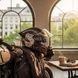 Шлем защитный универсальный 59-61см SG-94773 Черный с принтом