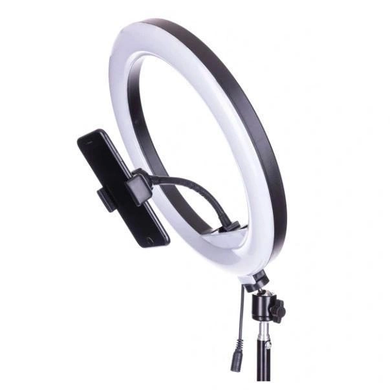Светодиодная кольцевая лампа Ring Fill Light RL 12/QX300 (диаметр 30 см)