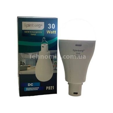 Лампочка акумуляторна з гачком 30W Usb Rainberg P921 Біла