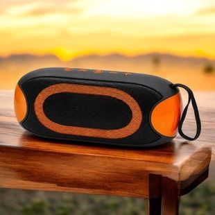 Колонка акумуляторна портативна Bluetooth TS-5582 G-800 Чорна з помаранчевим