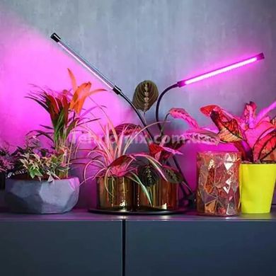 Фито лампа Led Plant Grow Leight USB Двойная
