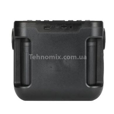 Bluetooth C колонка S громкоговоритель с радио и 2 микрофоны TG545DK-Graffititi
