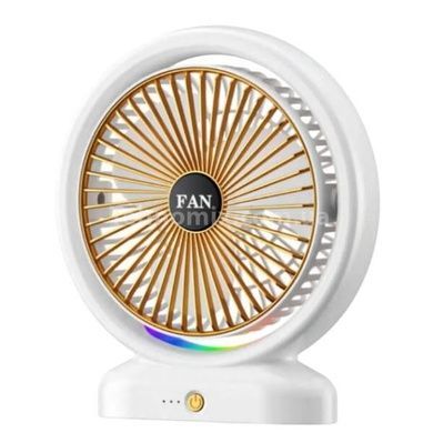 Вентилятор настільний usb LY-843 Білий