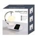 Лампа-ночник 3в1 с беспроводной зарядкой и Bluetooth-колонкой TB-35SLIWBT 22SHTSWKT Белая