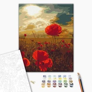 Картина за номерами Маки під палючим сонцем BS51961