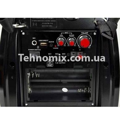 Портативная акустическая система с микрофоном и светомузыкой bluetooth Golon RX-810 BT