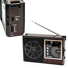 Радіо GOLON RX-9922 UAR