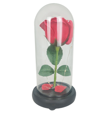Троянда в колбі з LED підсвічуванням МАЛЕНЬКА із серцем Червона