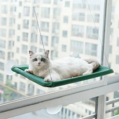 Лежанка для кішок на вікно з присосками Window Mounted Cat Bed Зелена