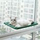 Лежанка для кішок на вікно з присосками Window Mounted Cat Bed Зелена