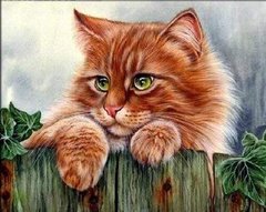 Картина по номерам "Рыжий кот" 40*50 см