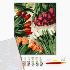 Преміум картина за номерами Різнокольорові тюльпани PGX37544
