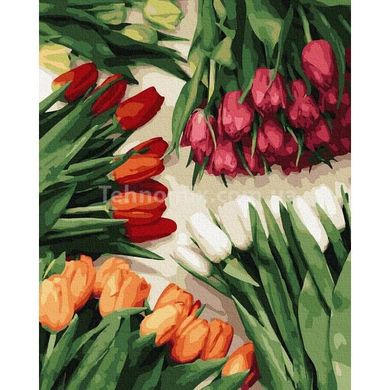 Премиум картина по номерам Разноцветные тюльпаны PGX37544