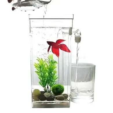 Аквариум самоочищающийся My Fun Fish для рыб