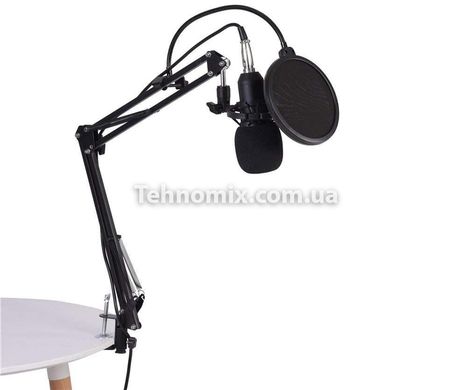 Мікрофон студійний DM-800U Чорний