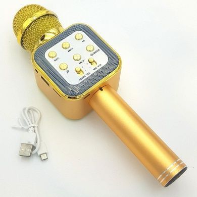 Караоке микрофон bluetooth WS-1818 Gold + Чехол
