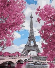 Картина за номерами "Магнолії в Парижі" 40 * 50 см