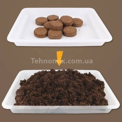 Домашня теплиця з інвентарем Home made plant