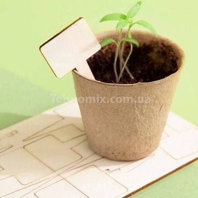 Домашня теплиця з інвентарем Home made plant