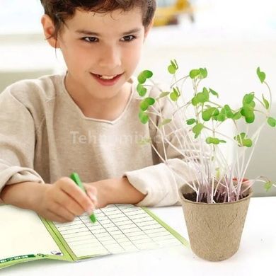 Домашня теплиця з інвентарем Home made plant