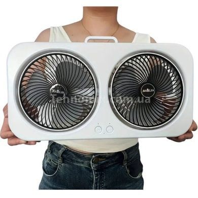 Вентилятор настольный двойной LY-879 F8 Белый с черным