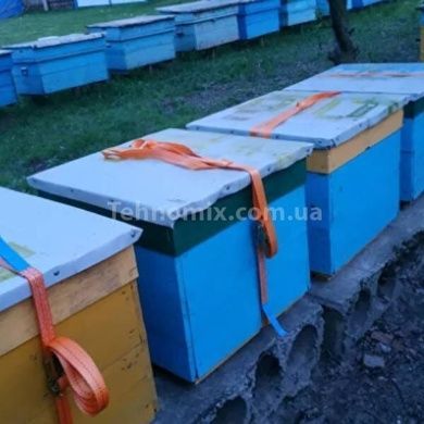 Страховочная лента для перевозки груза на крышу машины с натяжителем 1,5м Ratchet Tie Down Красная