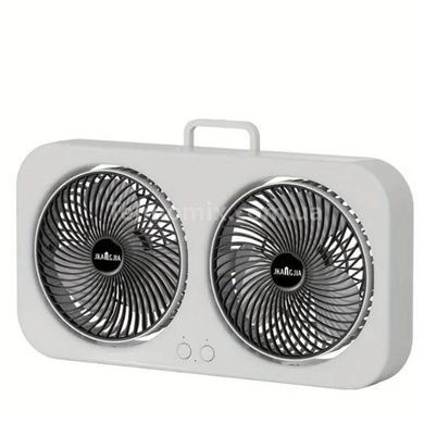 Вентилятор настольный двойной LY-879 F8 Белый с черным