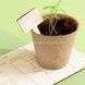 Домашня теплиця з інвентарем Home made plant