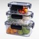 Набор пластиковых пищевых контейнеров с крышками 3шт Safe jar AND LY-1124
