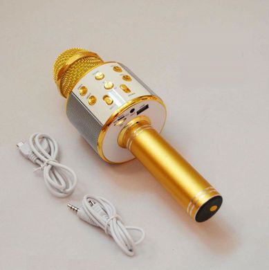 Караоке - микрофон WS 858 microSD FM радио Розово - золотой