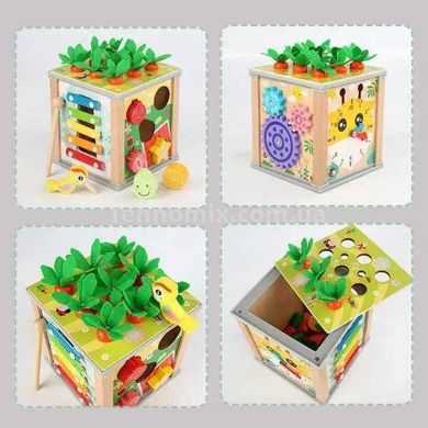 Куб логічний дерев'яний Літній сад Montessori Toy Play Kits