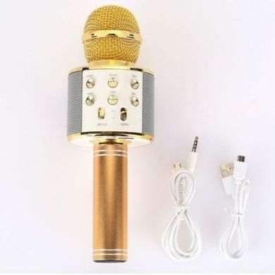 Караоке - мікрофон WS 858 microSD FM радіо Рожево - золотий