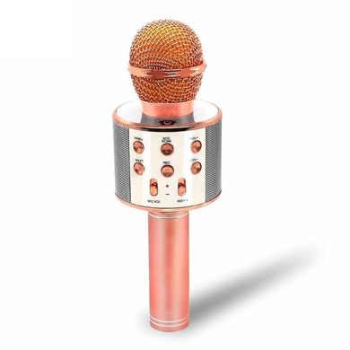 Караоке - мікрофон WS 858 microSD FM радіо Рожево - золотий