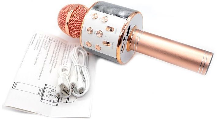 Караоке - микрофон WS 858 microSD FM радио Розово - золотой