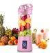 Блендер Smart Juice Cup Fruits USB Рожевий 2 ножі
